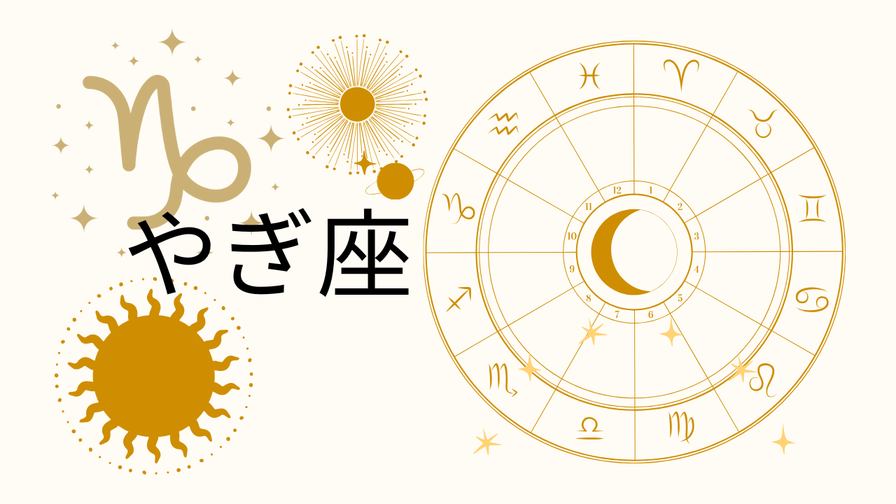 �R�r���̌����肢